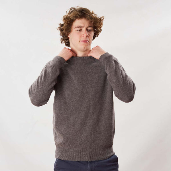 Lambswool crew neck - Birch