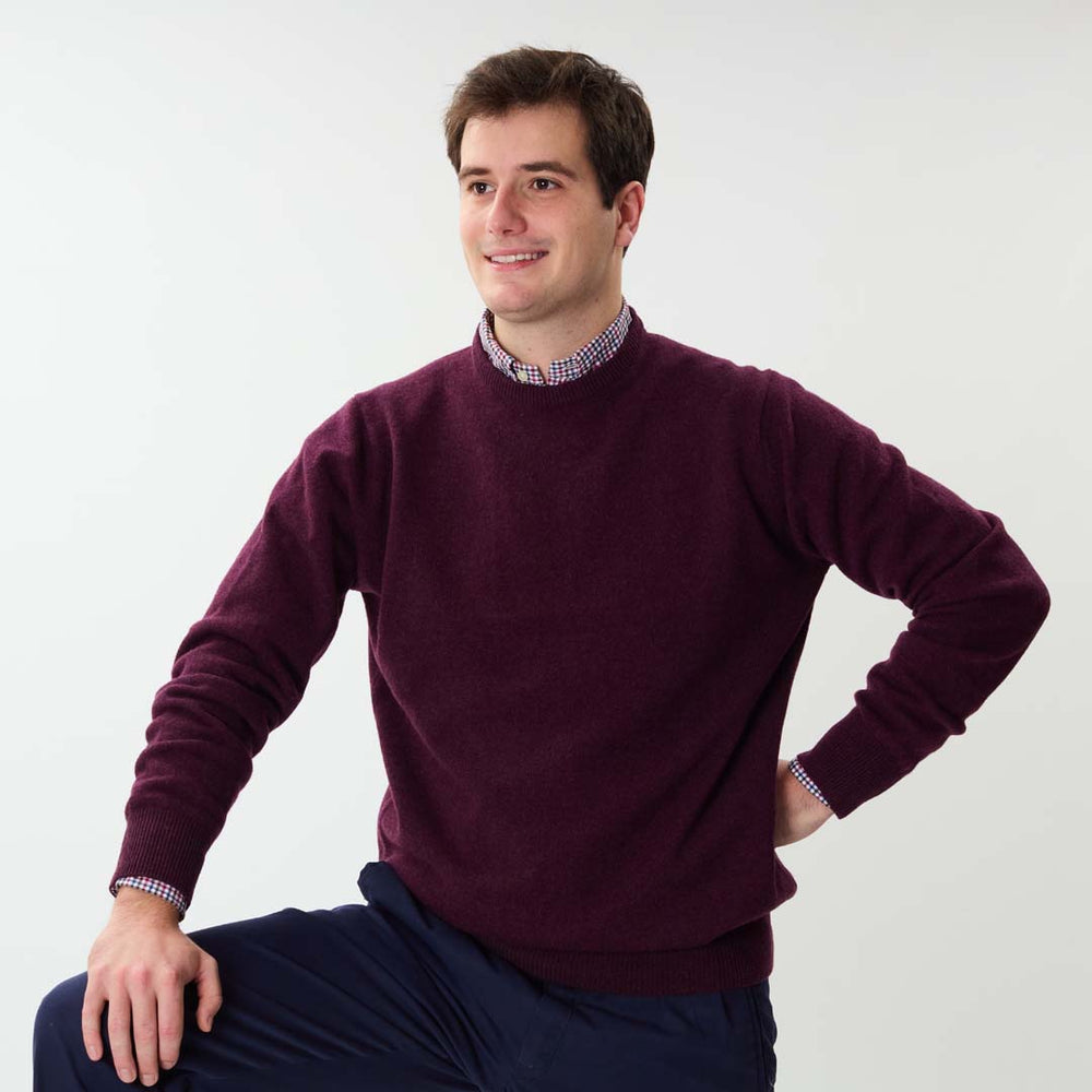 Lambswool crew neck - Blackgrape 186