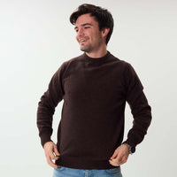 Lambswool crew neck - Bournville 426
