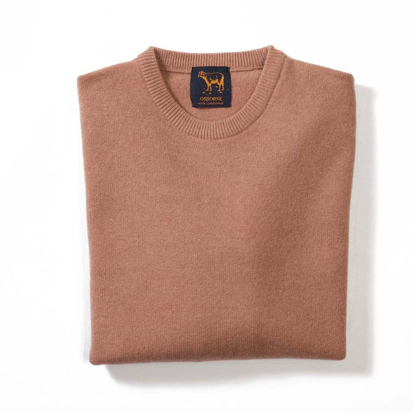 Lambswool crew neck - Camel