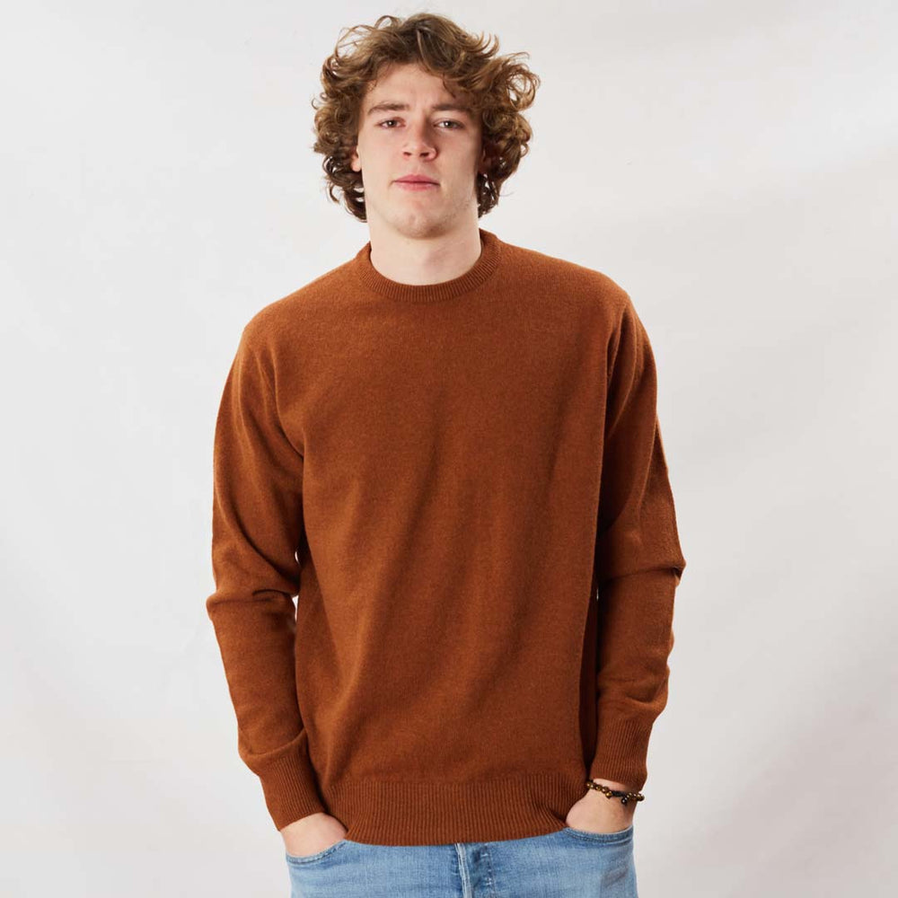 Lambswool crew neck - Chesnut
