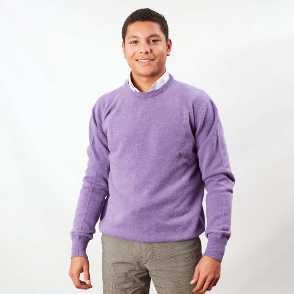 Lambswool crew neck - Clematis