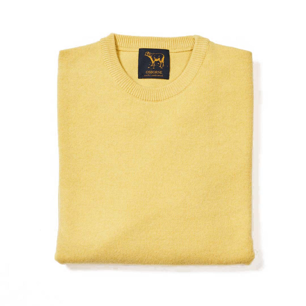 Lambswool crew neck - Daffodil
