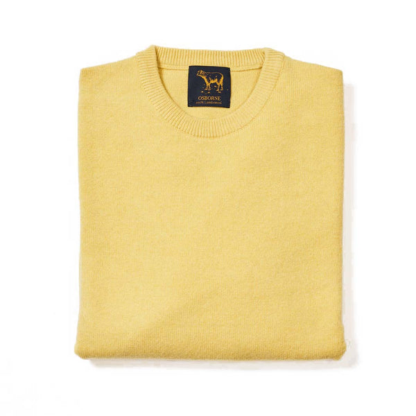 Lambswool crew neck - Daffodil