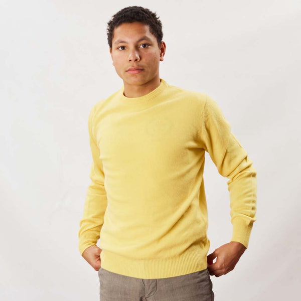 Lambswool crew neck - Daffodil