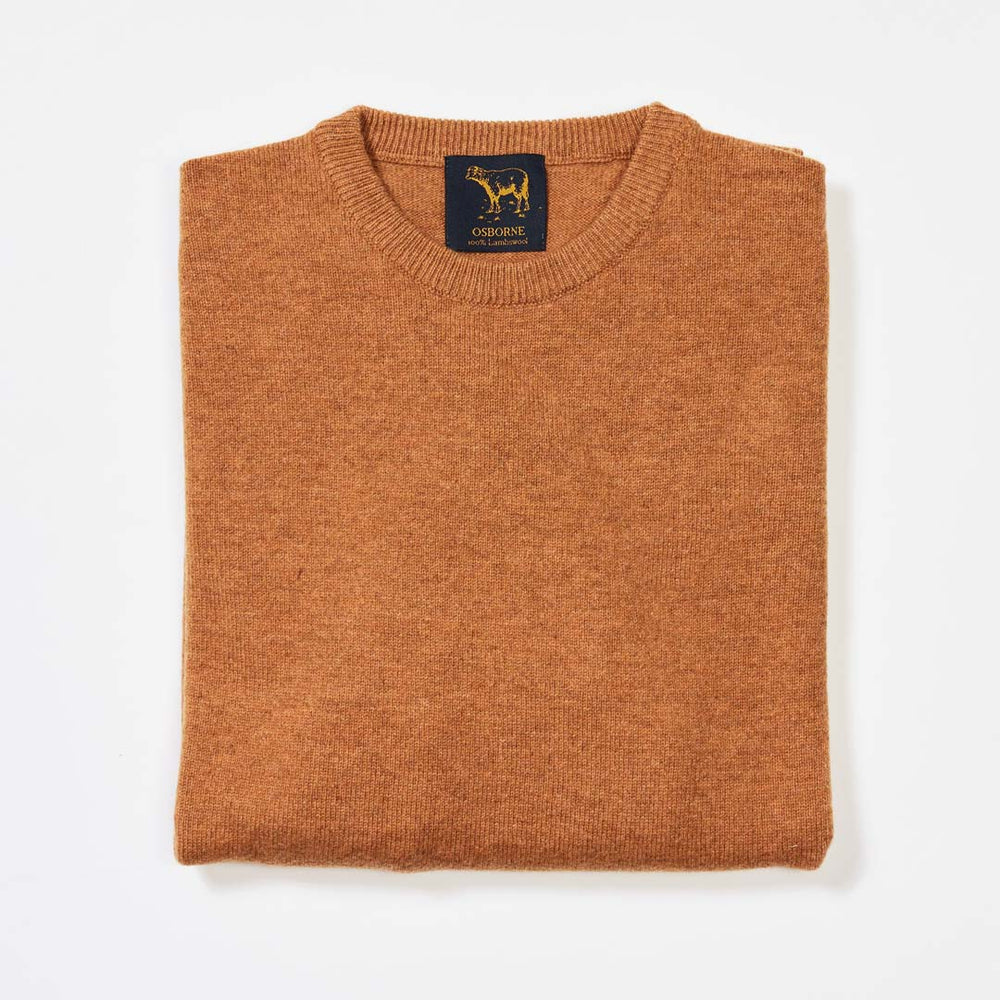 Lambswool crew neck - Gazelle