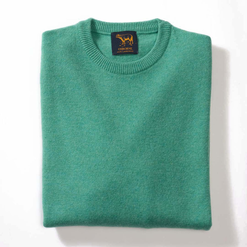 Lambswool crew neck - Munsell Green