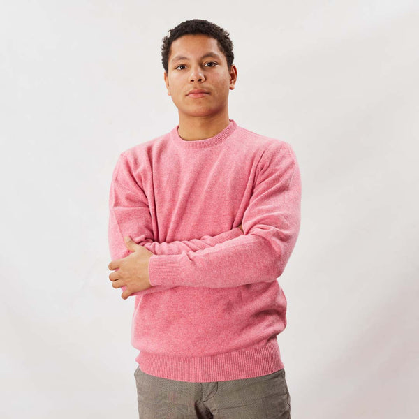 Lambswool crew neck - Nougat