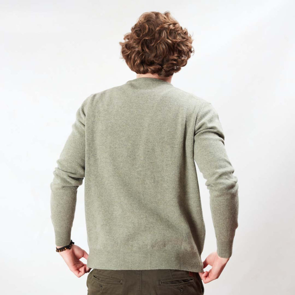 Lambswool crew neck - Orchard