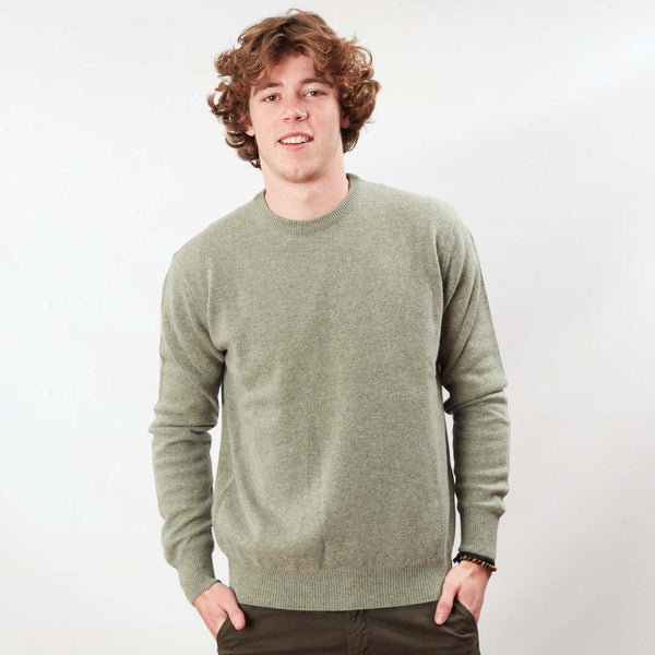 Lambswool crew neck - Orchard