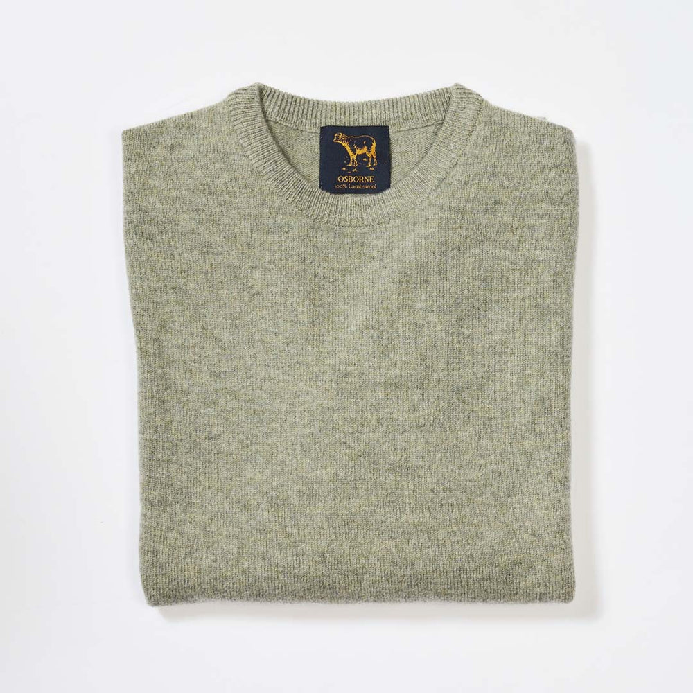 Lambswool crew neck - Orchard