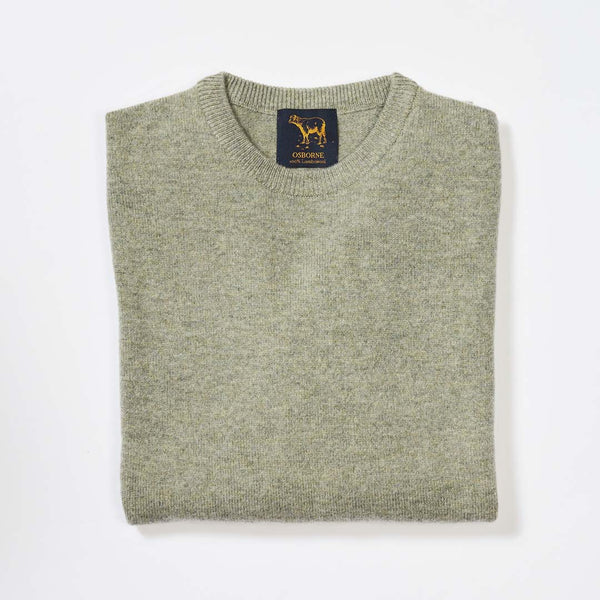 Lambswool crew neck - Orchard