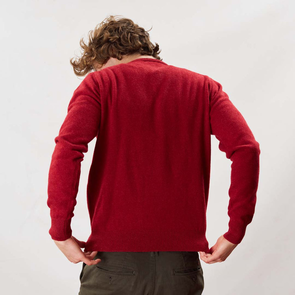 Lambswool crew neck - Poppy Melange