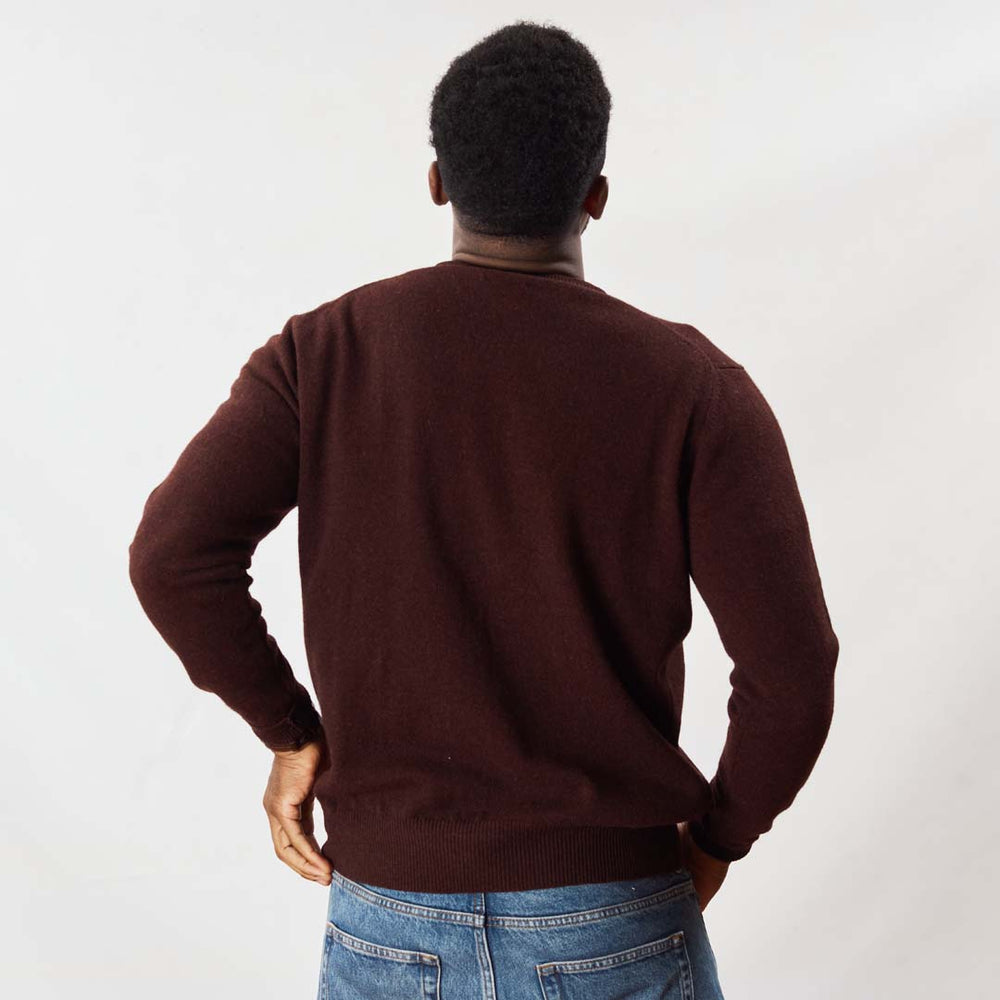 Lambswool crew neck - Raisin