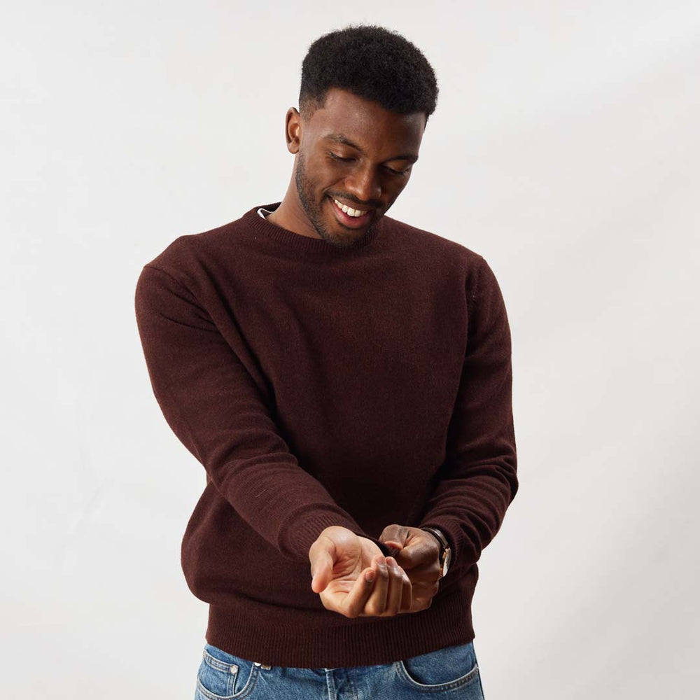 Lambswool crew neck - Raisin