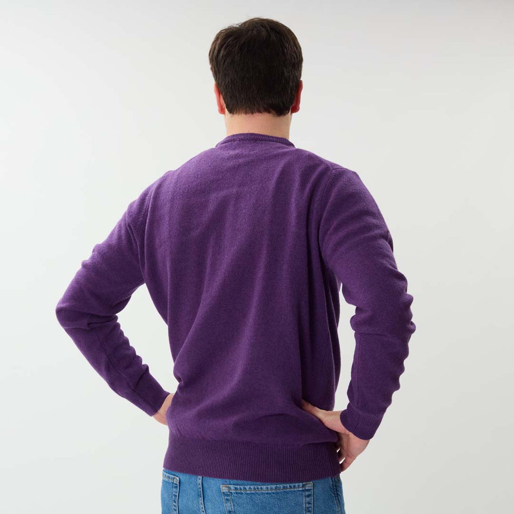 Lambswool crew neck - Regalia