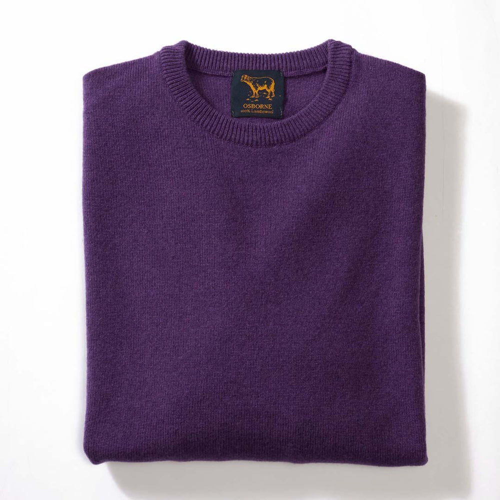 Lambswool crew neck - Regalia