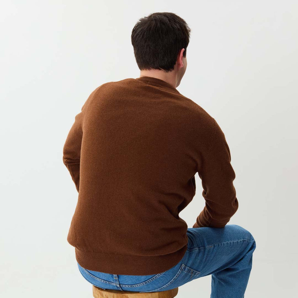 Lambswool crew neck - Spaniel