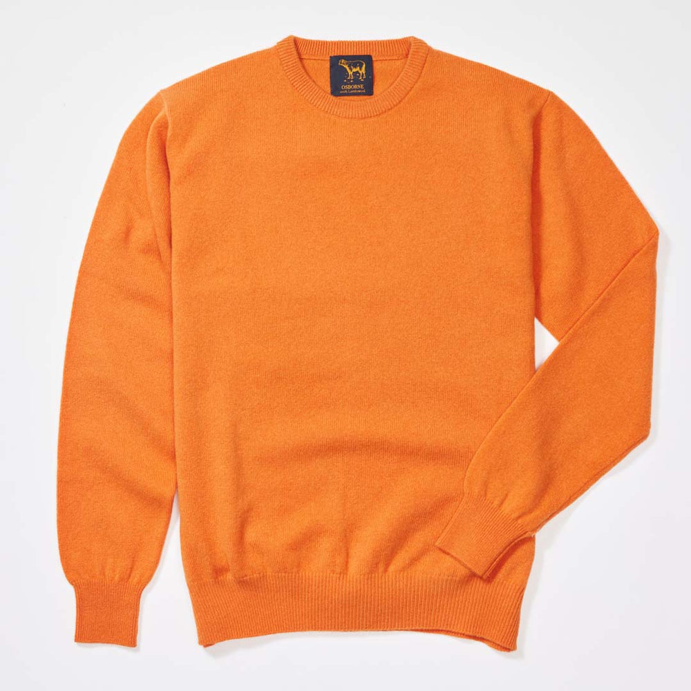 Lambswool crew neck - Turmeric