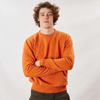 Lambswool crew neck - Turmeric