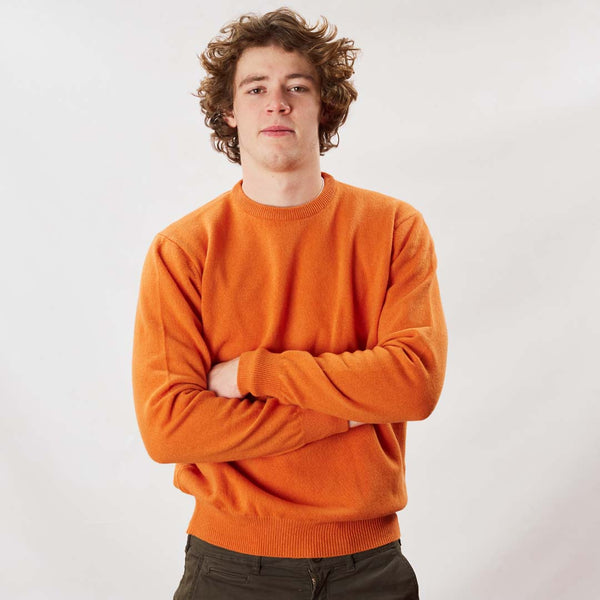 Lambswool crew neck - Turmeric