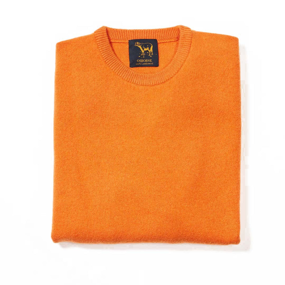 Lana d'agnello girocollo - Turmeric