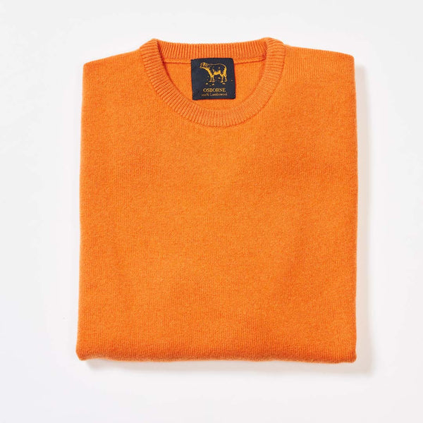 Lambswool crew neck - Turmeric