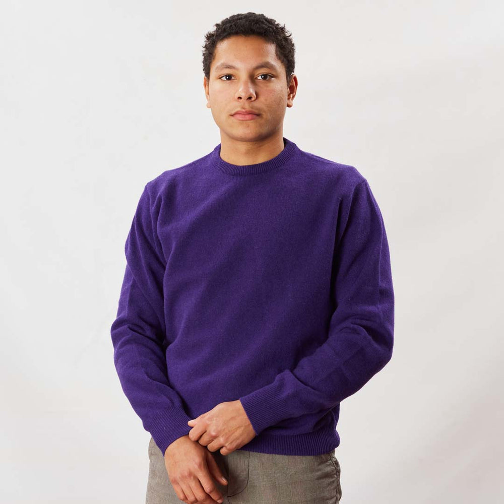 Lambswool crew neck - Violetta