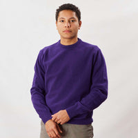 Lambswool crew neck - Violetta