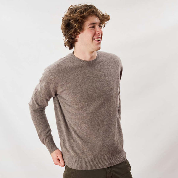 Lambswool crew neck - Vole