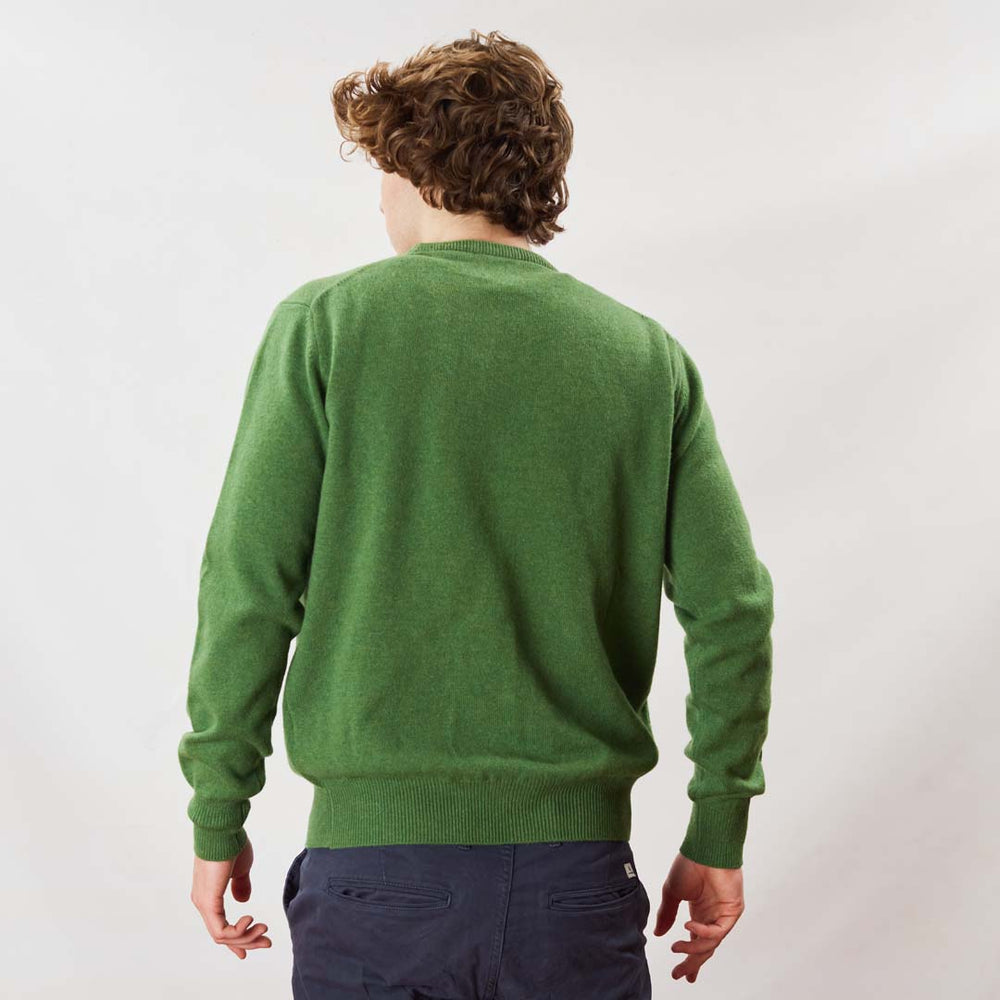 Lambswool crew neck - Watercress