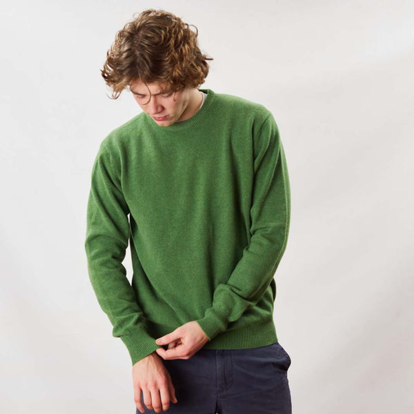 Lambswool crew neck - Watercress