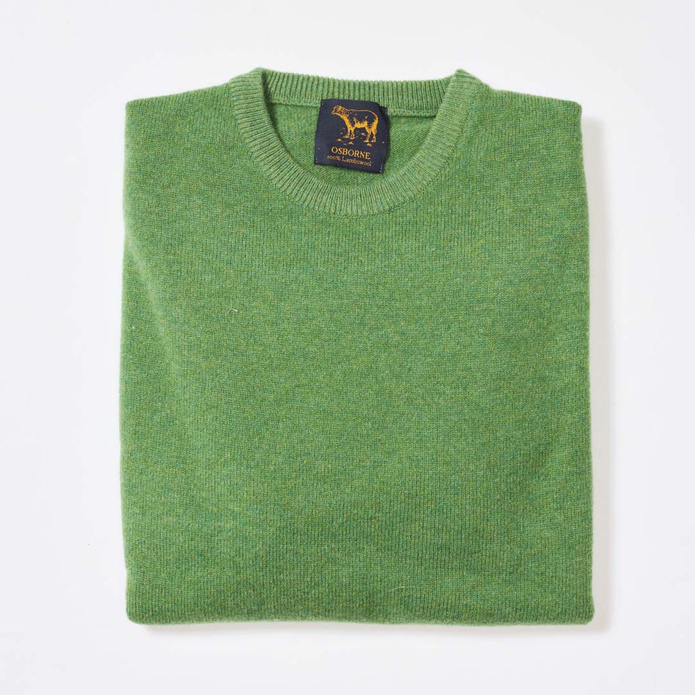 Lambswool crew neck - Watercress