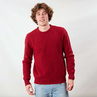 Lambswool molted crew neck - Poppy Melange