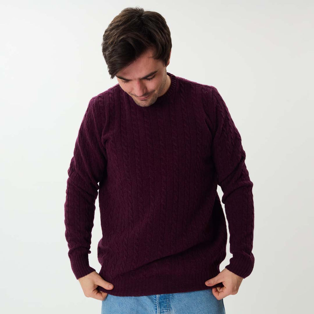 Lambswool small cable crew neck - Blackgrape 186