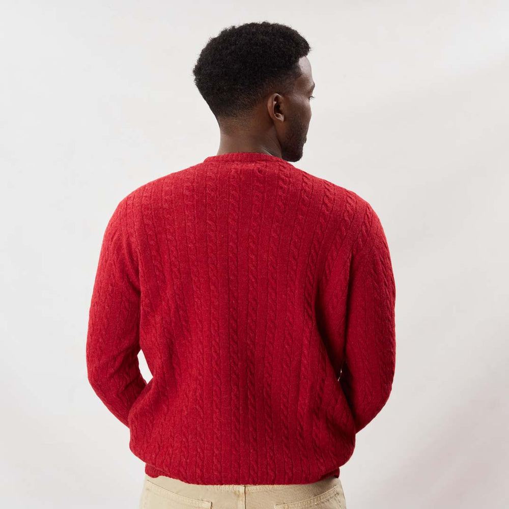 Lambswool small cable crew neck - Poppy Melange