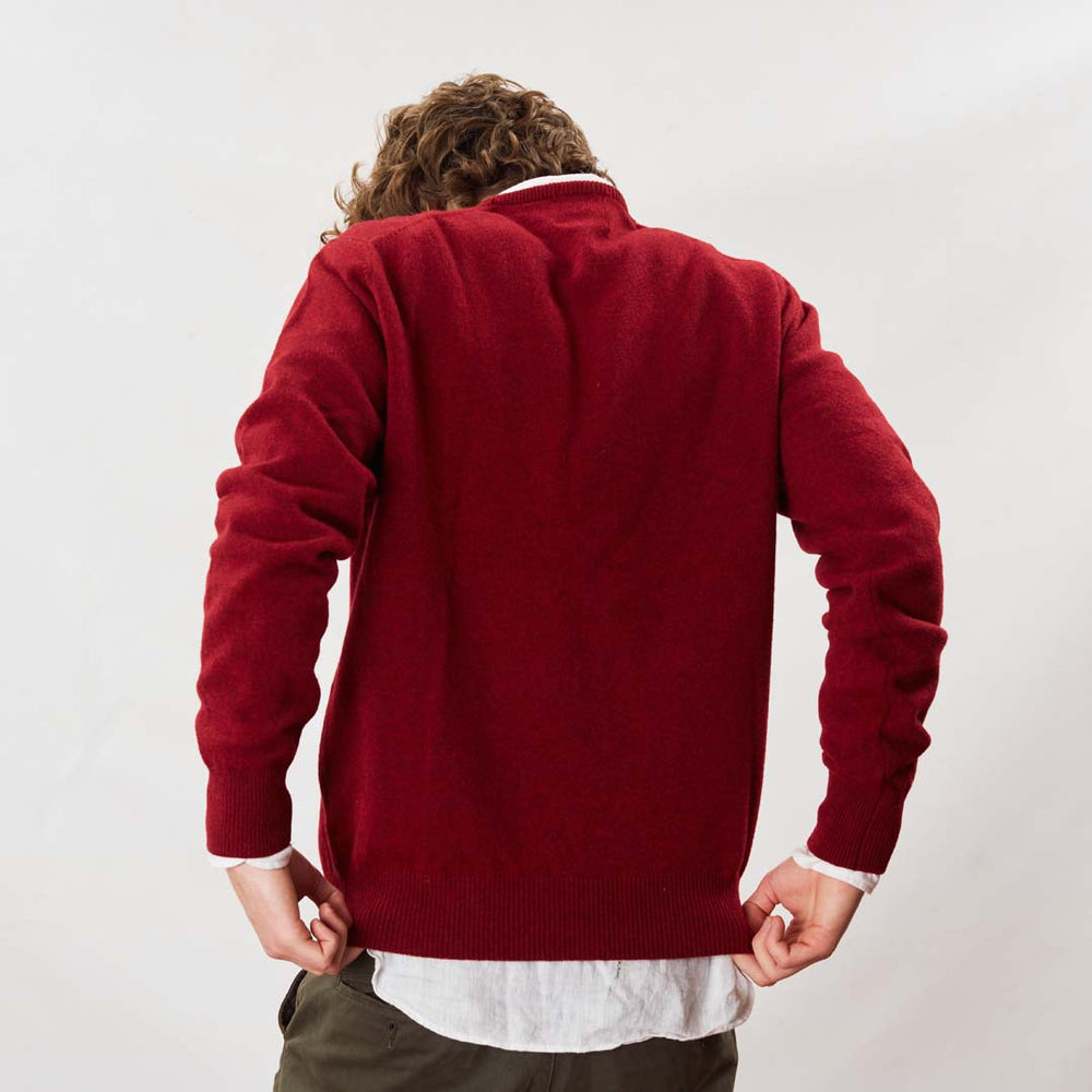 Lambswool V-neck - Pomegranate