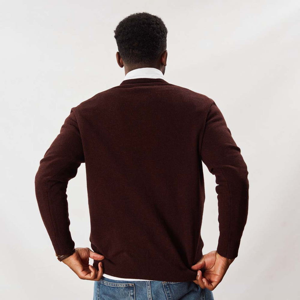 Lambswool V-neck - Raisin