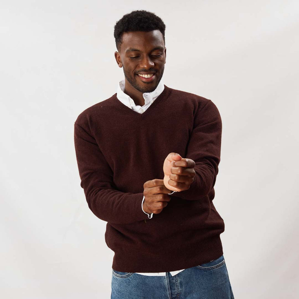 Lambswool V-neck - Raisin