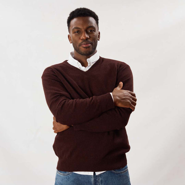 Lambswool V-neck - Raisin
