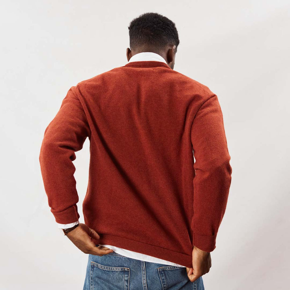 Lana d'agnello collo a V - Tiger