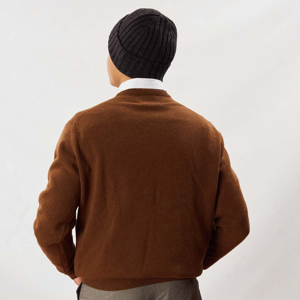 Lambswool V-neck - Spaniel