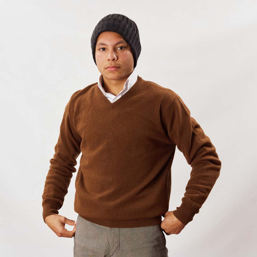 Lambswool V-neck - Spaniel