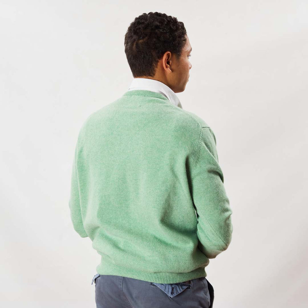 Lambswool V-neck - Springtime